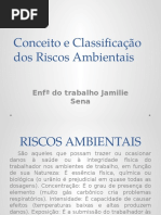 07 44 51 Risco Ambiental Aula II