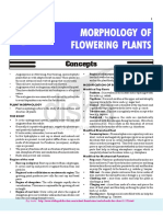 5-Morphology of flowering plants.pdf