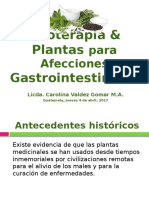 Ppt Plantas Afecciones Gastrointestinales