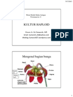 kultur-haploid-pertemuan-11.pdf