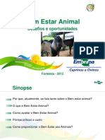 Palestra de BEA PEC NE 2012 PDF