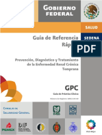 Cenetec IRC.pdf