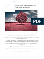 Cele 50 de Lectii de Viata Extraordinare Pe Care Le Inveti de La Un Copac