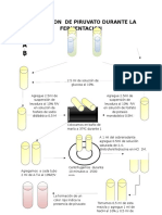 Digrama de Flujo