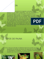 Faunadelmundo 130821105605 Phpapp02