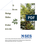 160988797-Manual-Moringa-PDF.pdf
