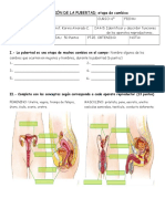 Evaluación de La Pubertad