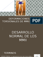 Deformaciones Torsionales 