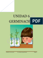 Germinación semillas