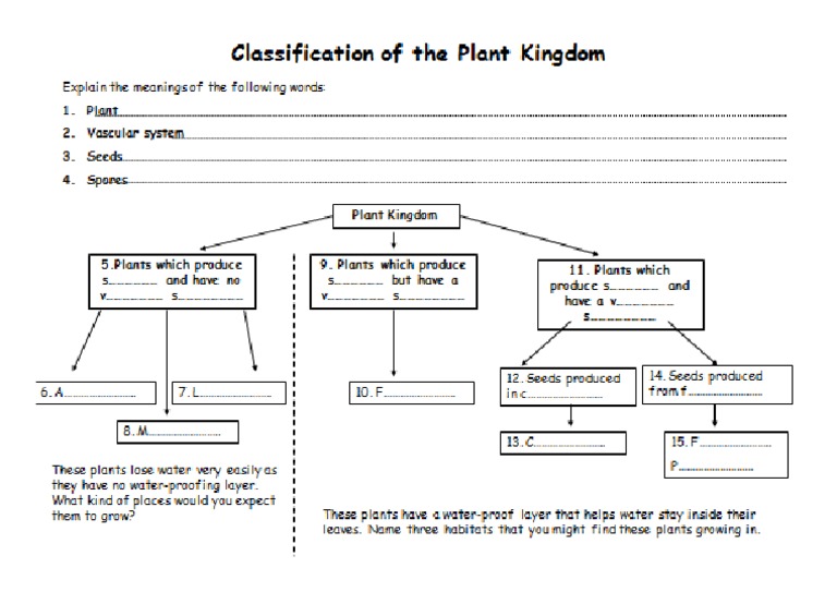 Lesson 1 - Plant Classification Worksheet | Plants