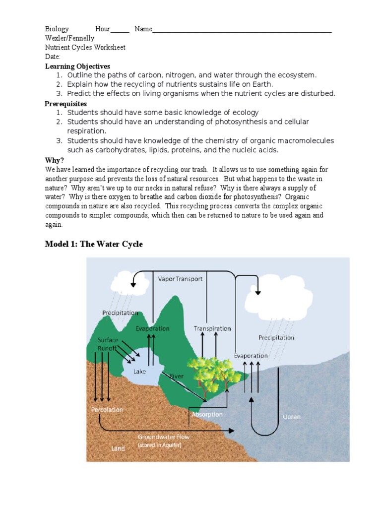 nutrient-cycles-worksheet-free-download-gambr-co
