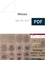 2017 - 04 - 26 Mitosis