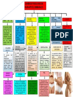 Mapa Cambios Fisiologicos Durante El Embarazo