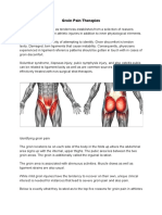 Groin Pain Therapies