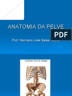 ANATOMIA DA PELVE.pdf