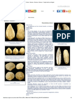Fósiles - Bivalvos - Bivalvos PDF