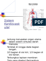 Sistem Sirkulasi