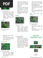 Presentasi Tentang TOGA