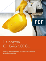 OHSAS 18001 Herramienta para Gestion de las SST.pdf
