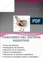 Fisiologia Digestiva de Las Aves