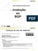 introducao ao BGP.pdf