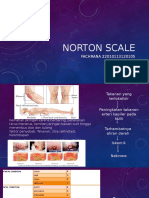Norton Scale
