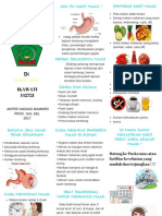 Gastritis Leaflet