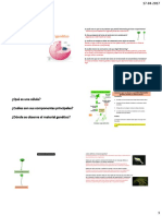 2° C1 localizacion material genetico