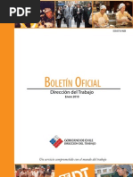 Boletin Oficial Direccion del Trabajo Enero 2010
