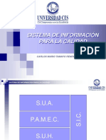 Sistema de información para la calidad.pdf