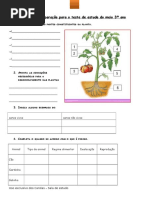 Ficha de Preparação Para o Teste de Estudo Do Meio 3º Ano