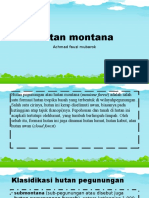 Hutan Montana