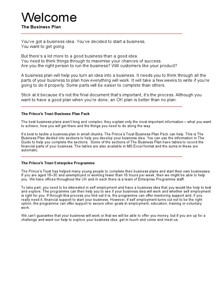 princes trust business plan