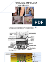 EPIDERMÓLISIS AMPULOSA CONGÉNITA