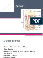 Struktur Enamel