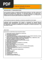 Plano de Formação 2009-2013