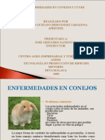 Enfermedades en Conejos y Cuyes