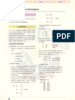 Morfología y Procesos Morfológicos