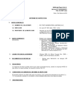 Informe de Inspeccion