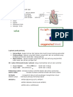 Circulatory Poin 2