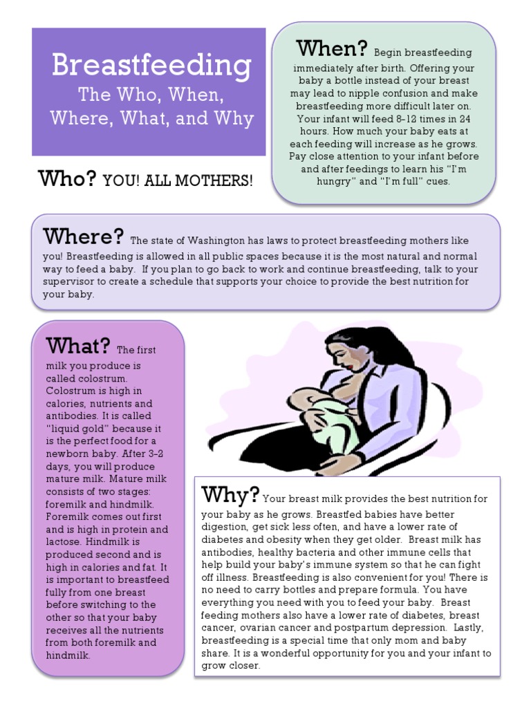 Breastfeeding Handout PDF Breastfeeding Breast Milk
