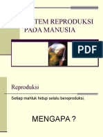 Kesehatan Reproduksi