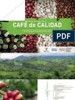 Café de Calidad