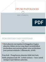 Post Partum Patologis