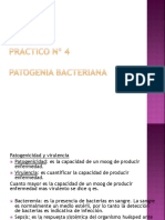 Practico 4patogenia