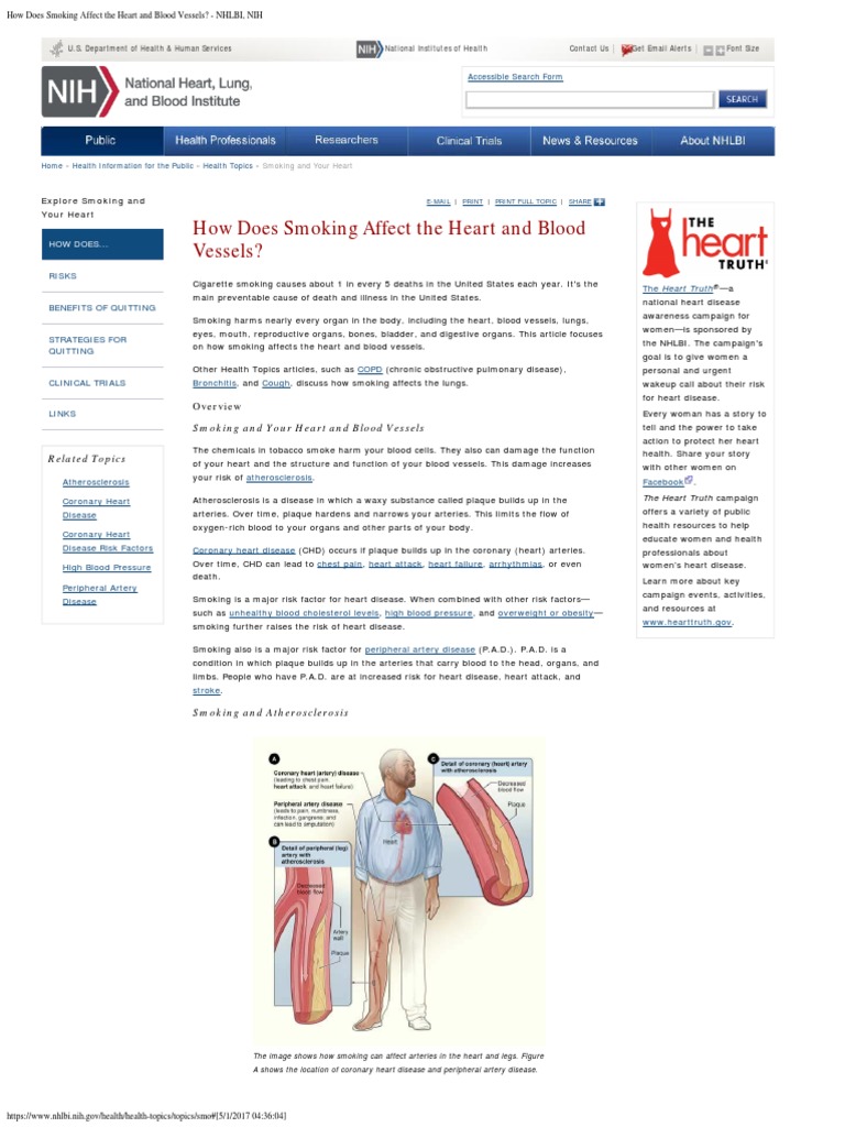 How Does Smoking Affect the Heart and Blood Vessels?