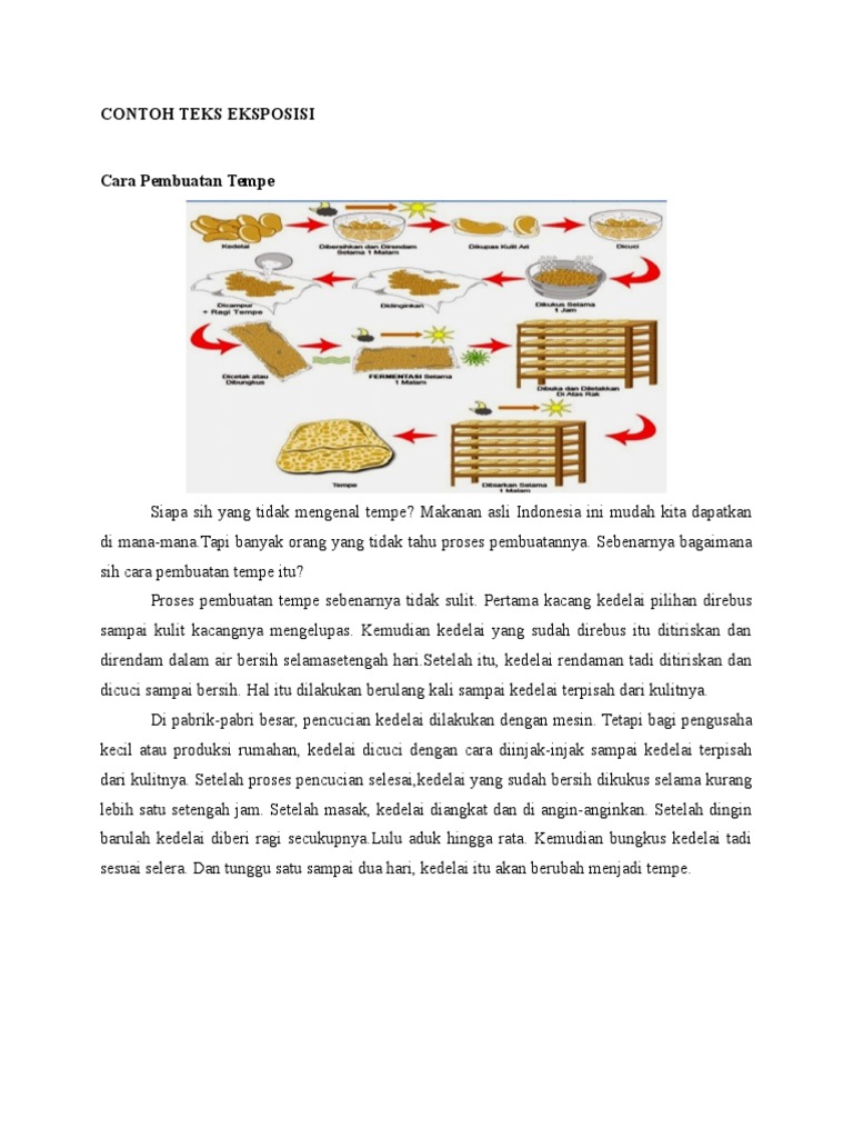 Contoh Teks Eksposisi