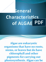 General Characteristics of Algae