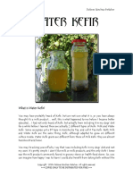 Water kefir.pdf