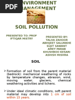 Types and Importance of Forest Ecosystems | PDF | Forests | Trees